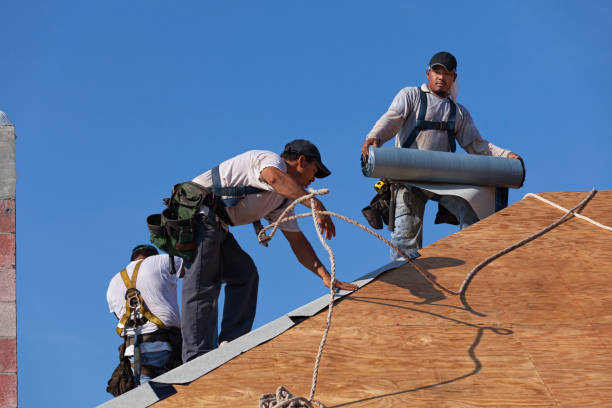 Woodridge, IL Roofing Contractor Company